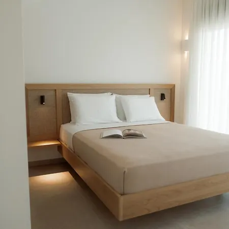 公寓式酒店 Aktis Seaside Living Nea Iraklitsa